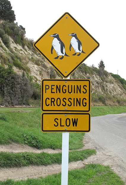 penguin sign
